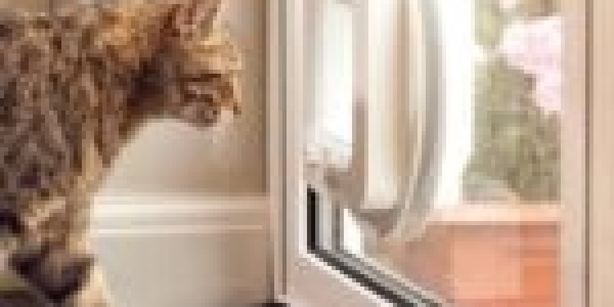 5 Killer Quora Answers To Cat Flap Repair