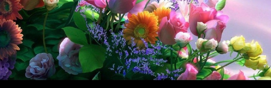 Hazel David Cover Image