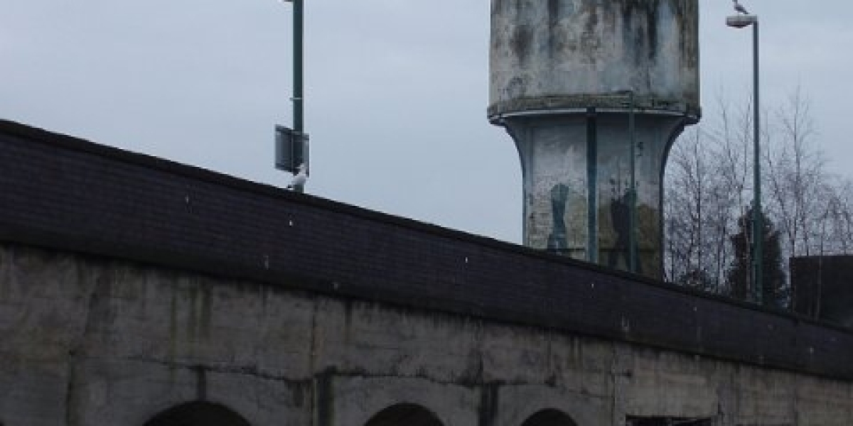 Alles über die Wirkung von HGH