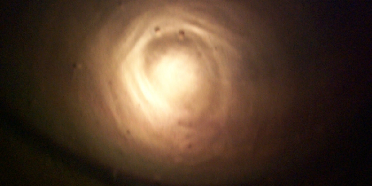 Claim Your Free Chips Codes at Lucky Green Casino Now