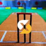 Skyexch online Profile Picture