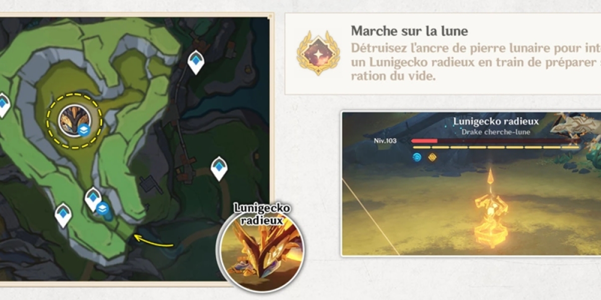 Lunigecko : Stratégies pour Briser ses Boucliers
