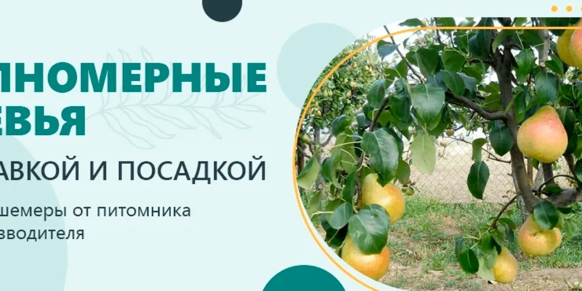 Article Picture