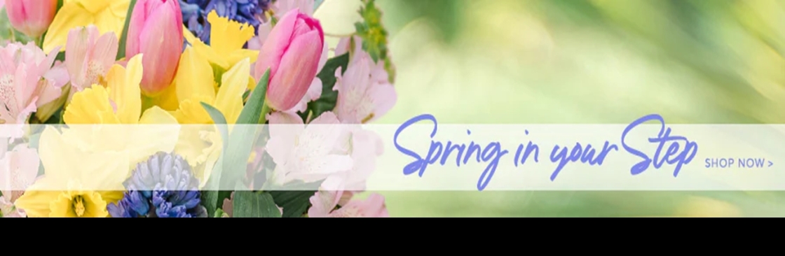 Kleins Flower Shop Cover Image