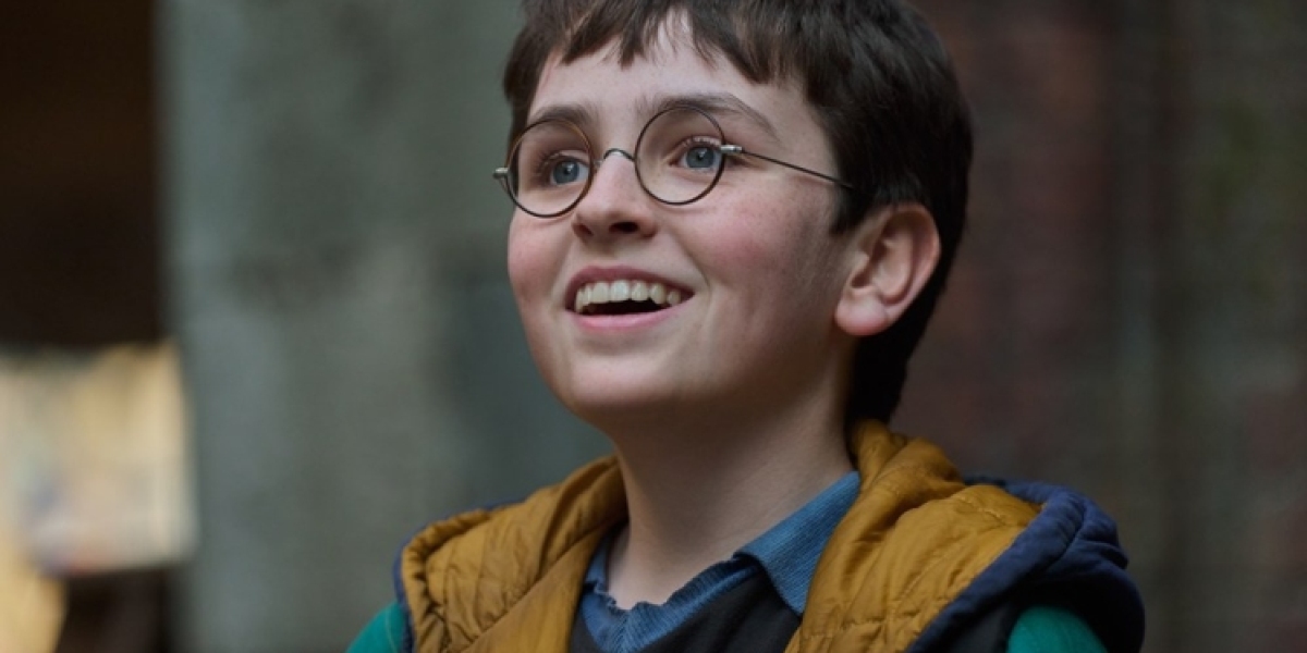 Harry Potter Series - HBO's 2026 Wizarding Rebirth