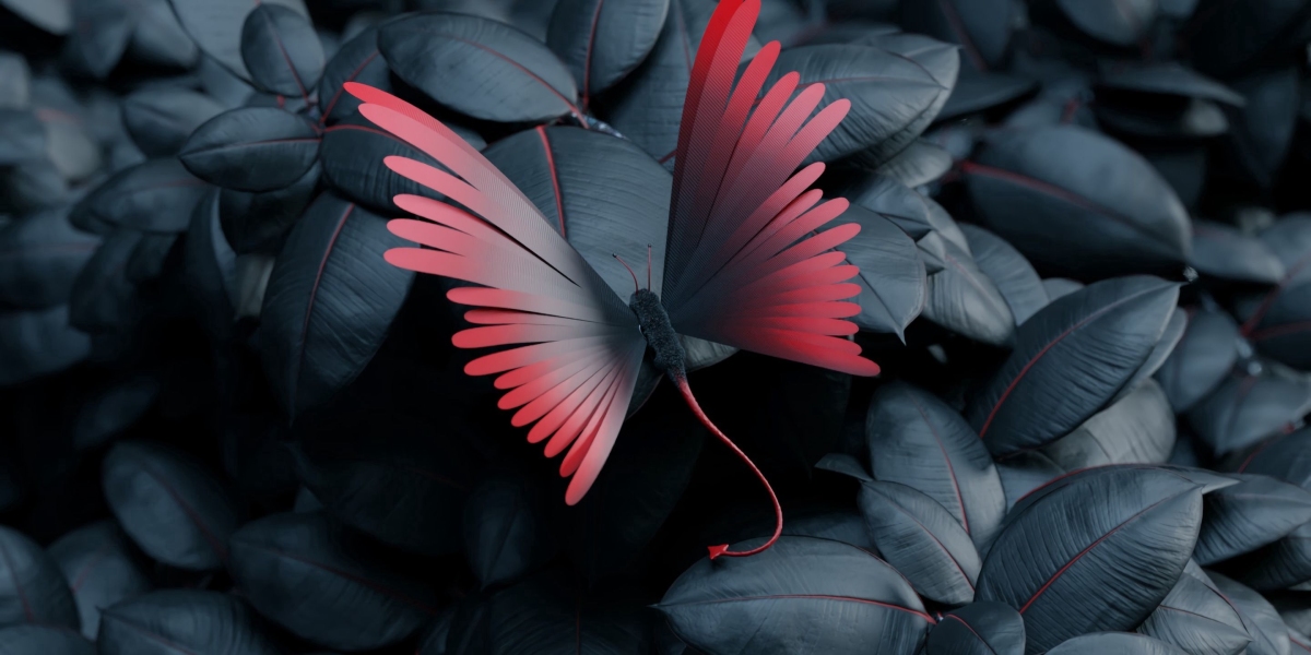 Booking Hotels in Kenya: Information in order to Comfort and ease as well as Experience