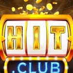 Hitc lub Profile Picture
