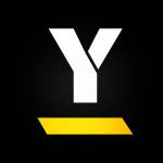 Y Group Profile Picture