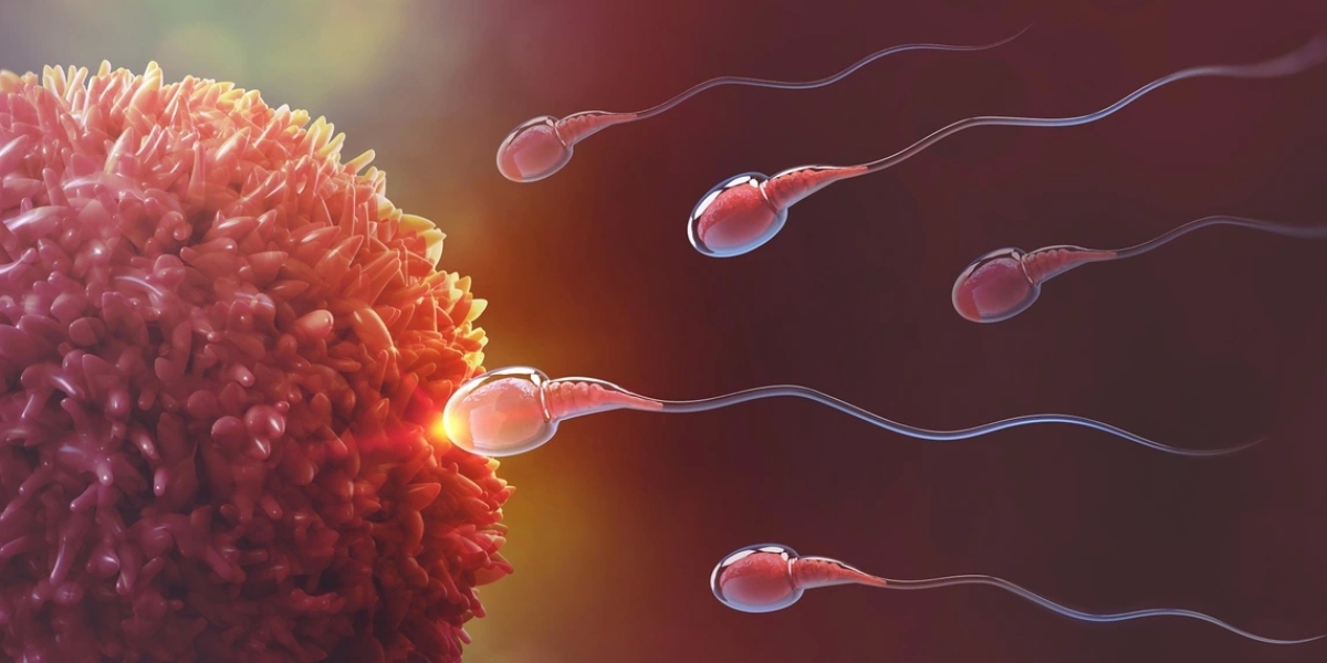 Discovering Reproductive Medicine as well as Male fertility Wellness
