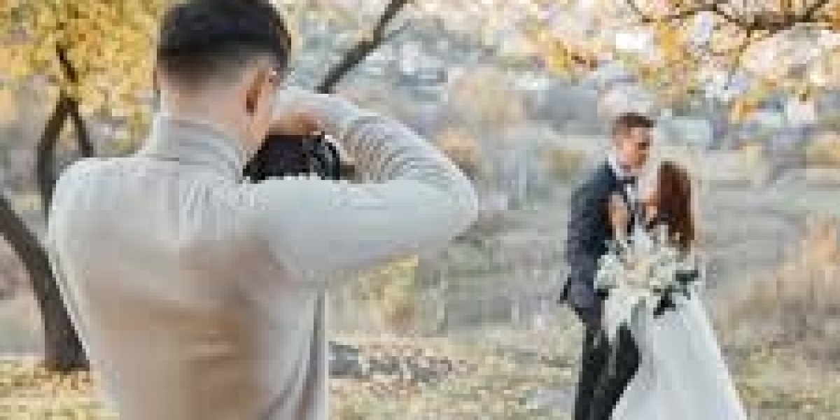 Acquiring Reports Over the Art work involving Aesthetic Manifestation Photographer